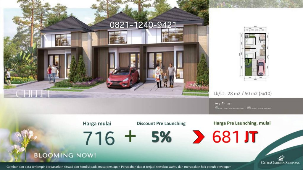 Cluster Belle Fleur Tipe Ceillet