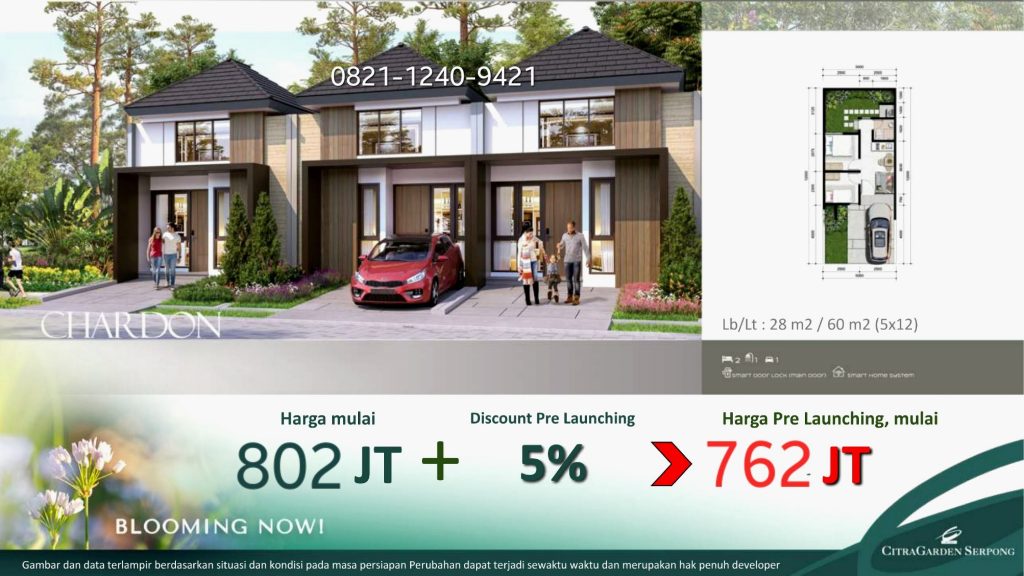 Cluster Belle Fleur Tipe Chardon