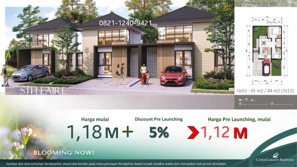 Cluster Belle Fleur Tipe Stellaire